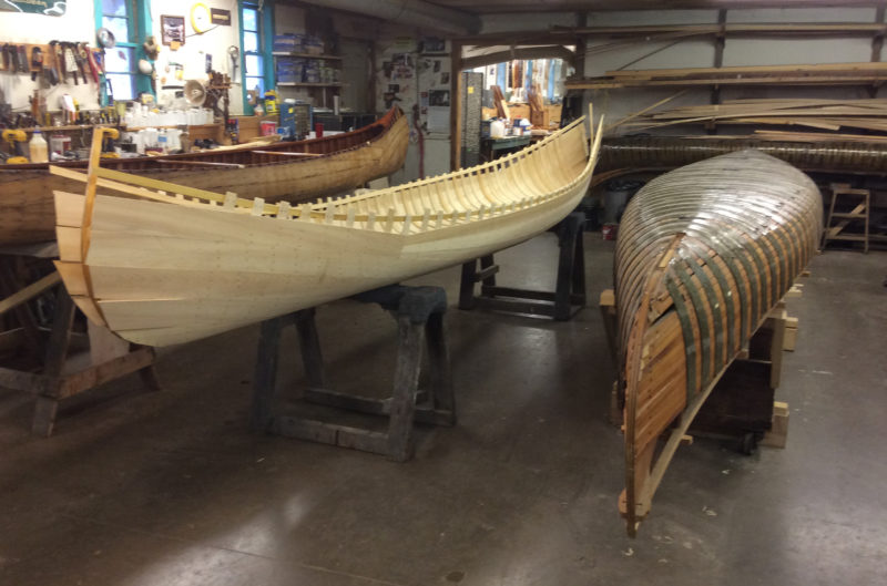 The partially built canoe has just been removed from the form. The ends are left unfastened to allow the canoe body to be spread out slightly to ease its removal from the form