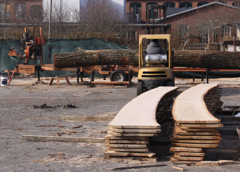 The oak logs harvested for the Whitehalls were sawn with a bandsaw mill in Bristol, Rhode Island. The planks cu from trees with curved trunks made it possible to get planks with a lot of shape out in one piece.