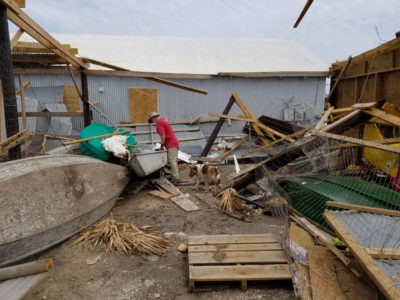 The damage at Farley Boat Works was extensive and restoration efforts are underway.