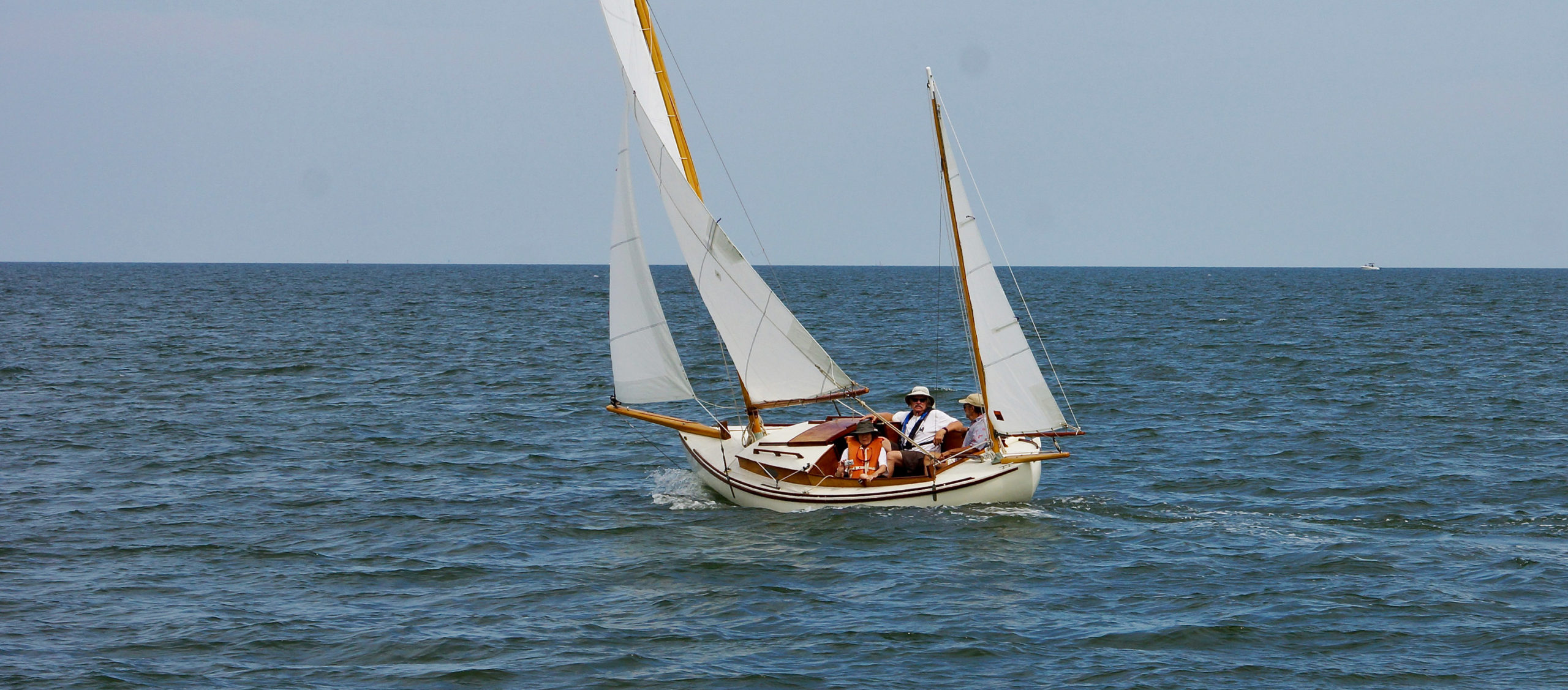 garden eel sailboat