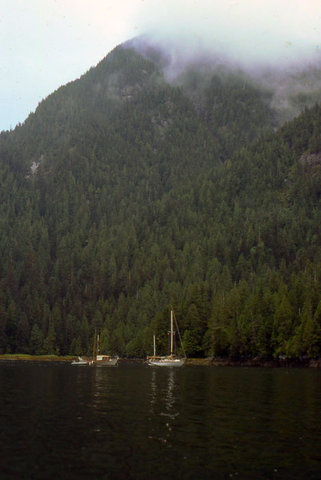 Nettle Basin, in the farthest reach of Lowe Inlet, is quite remote but I found lots of good company there. The couple aboard the St. Pierre dory (left) was quite generous. They brought e aboard for breakfast and before they left they gave me three big Dungeness crabs they'd caught.