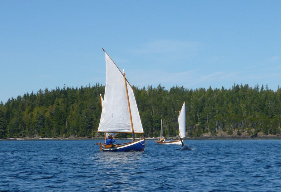 Cruising the Broughton Archipelago | Small Boats Nation