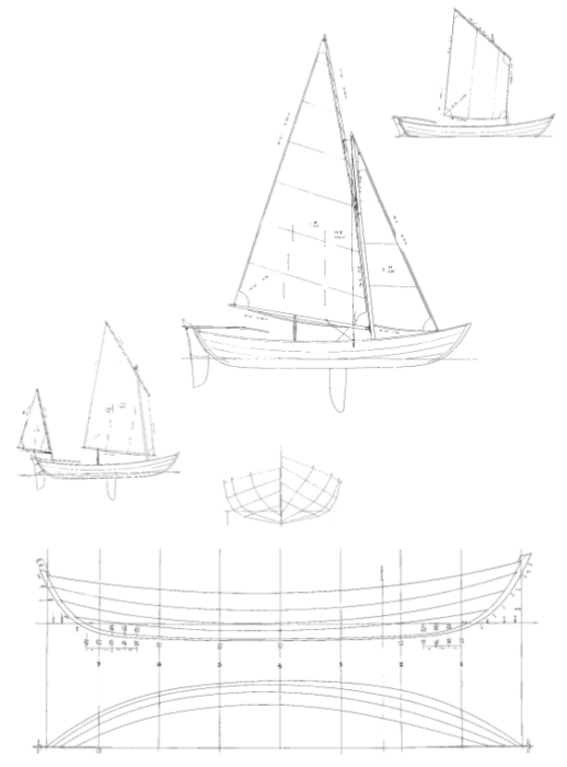 arctic tern sailboat plans
