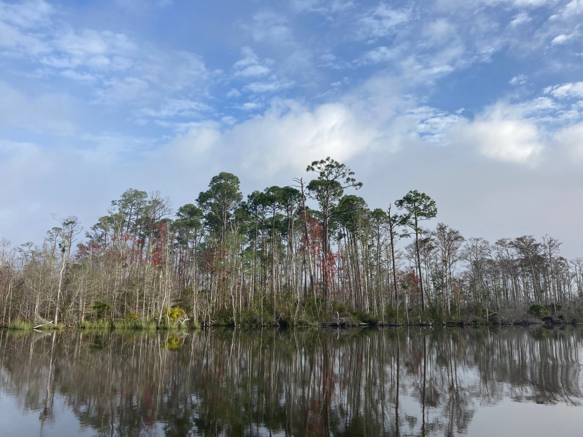 A Gulf Coast Cruise - Small Boats Magazine