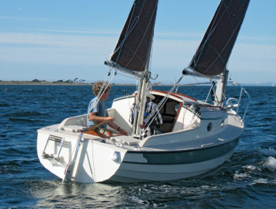 Townsend Tern