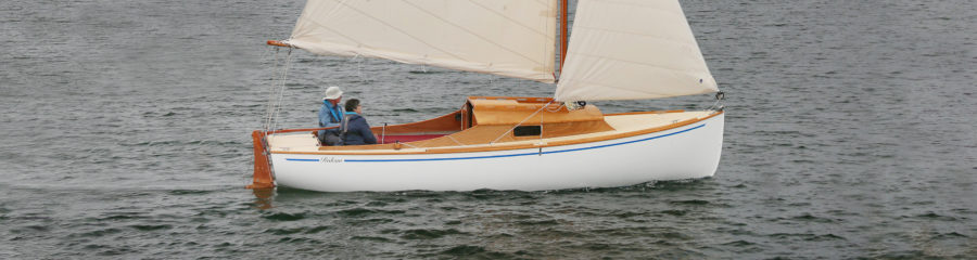 alcort sailfish sailboat for sale
