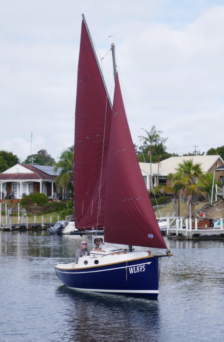 cygnus 20 sailboat for sale