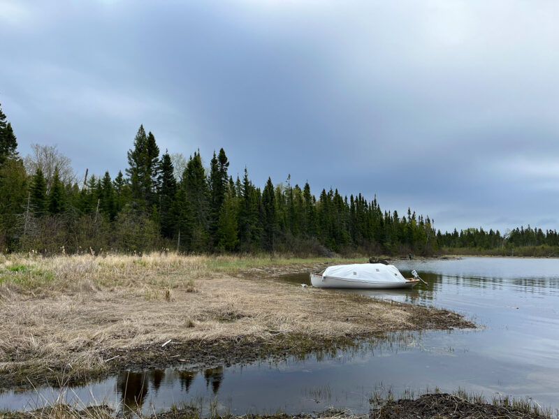 White boat with canopy tent sits near the shore of a beaver channel.