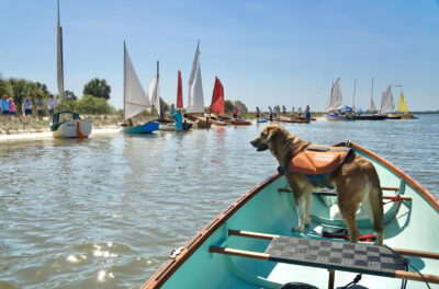 Dog in lifejacket on boat at Cedar Key meet