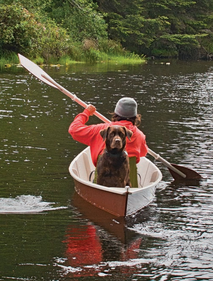 Rower paddles a canoe with a chocolate labrador riding in the back.