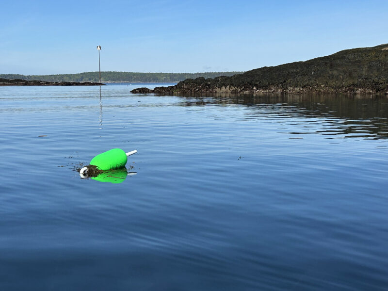 Lobster trap and day marker in calm morning water.