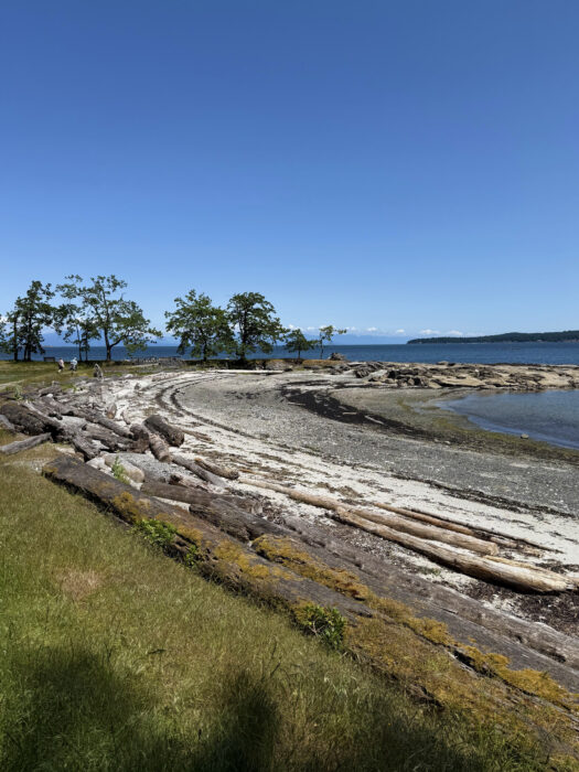 Beach at Saysutshun Island, British Columbia.