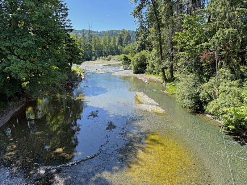Wooded waterway inland from Chemainus, British Columbia.