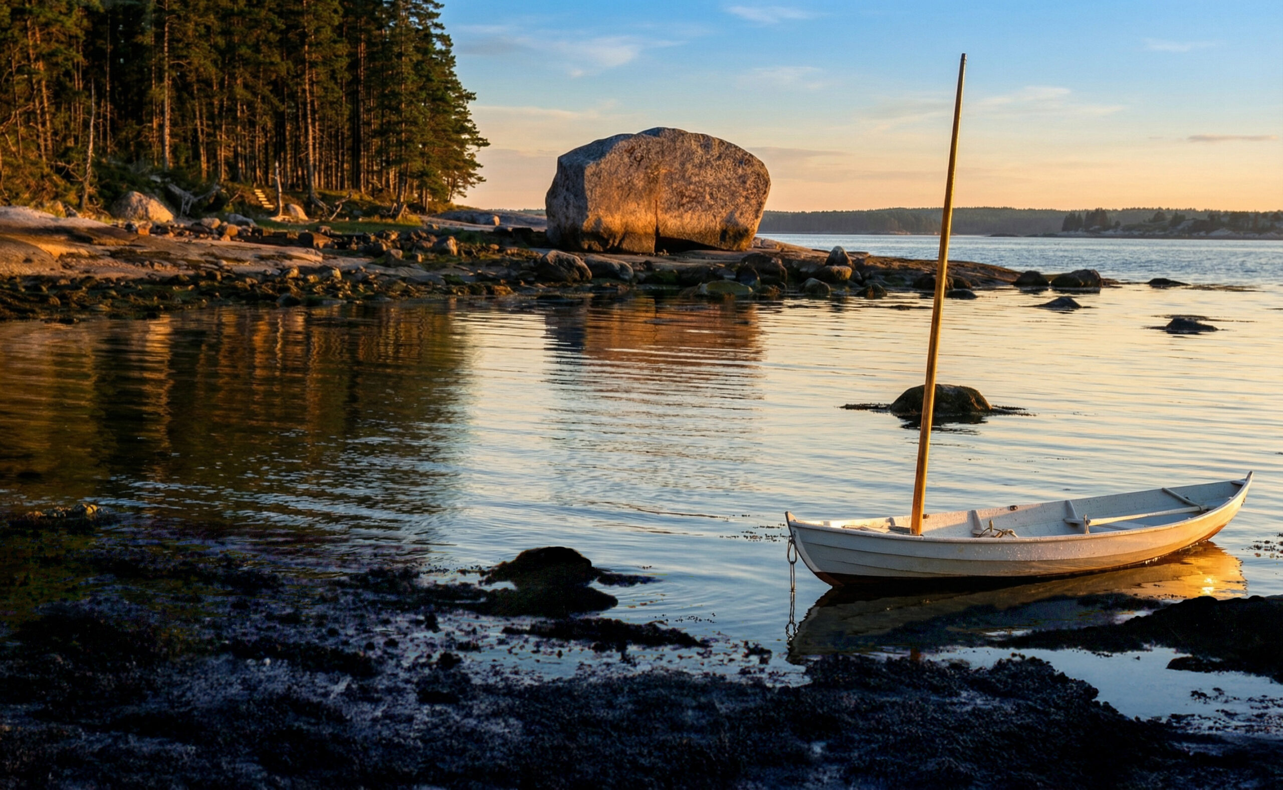 A Trip to Hog Island