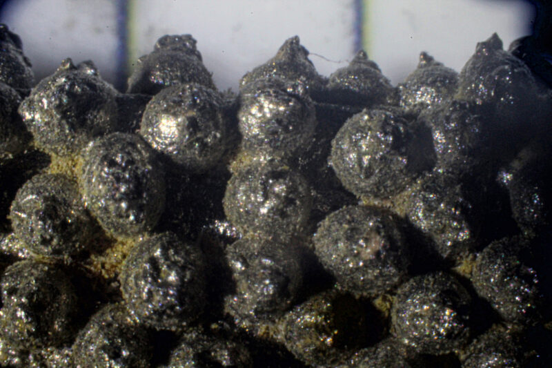 Close up of teeth on coarse Kutzall rasp.