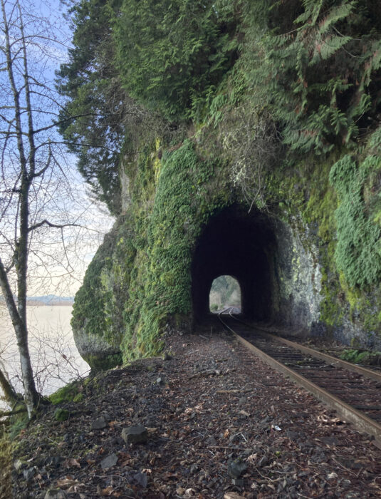 Railway tunnel on Oregon shore of Columbia River.